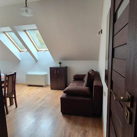 Villa Asturia Rymanów-Zdrój Extérieur photo