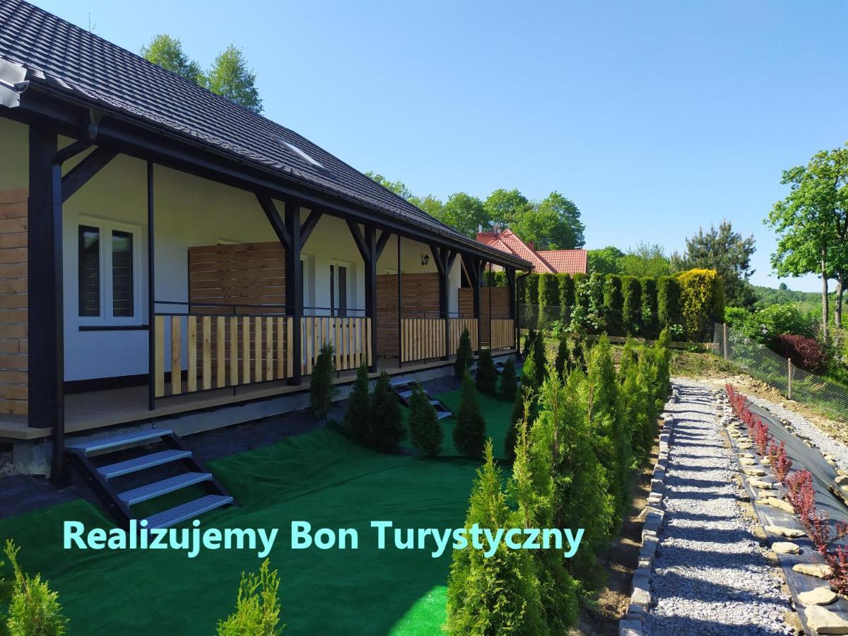 Villa Asturia Rymanów-Zdrój Extérieur photo