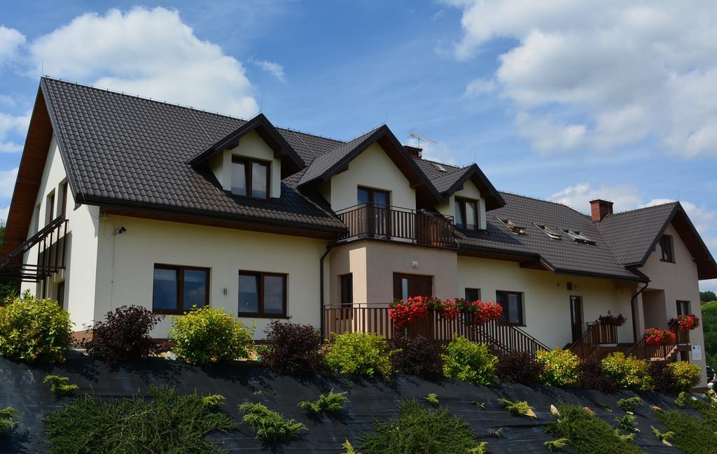 Villa Asturia Rymanów-Zdrój Extérieur photo